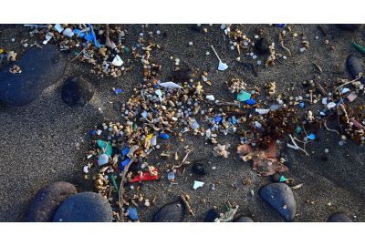 Microplastics