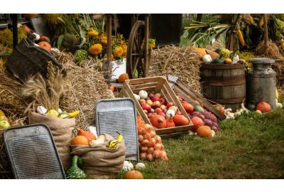 We Plough the Fields and Scatter