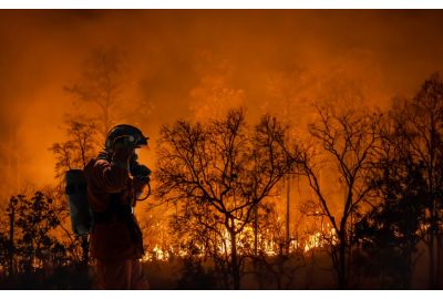 Firefighter watching forest burn due to global warming.