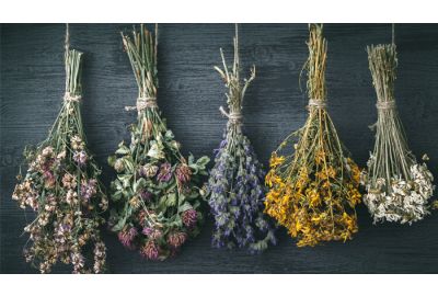 drying flowers