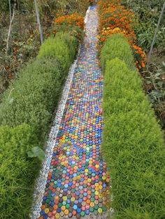 bottle top pathway
