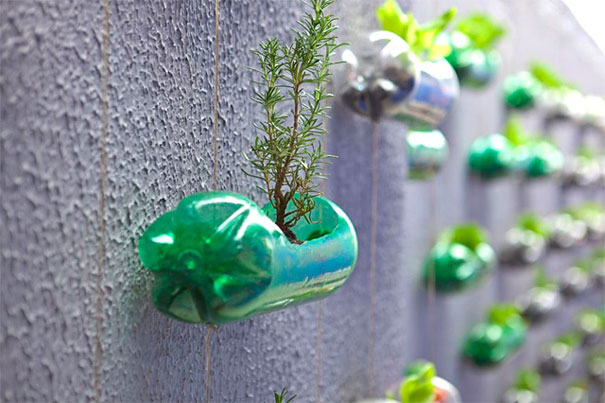 bottle plant pots