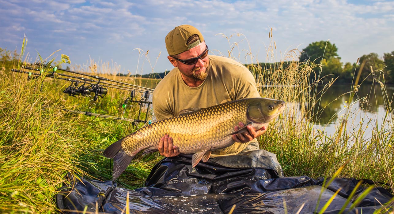 carp fishing 