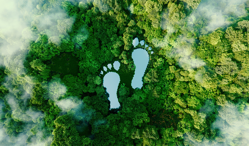 Carbon Footprint