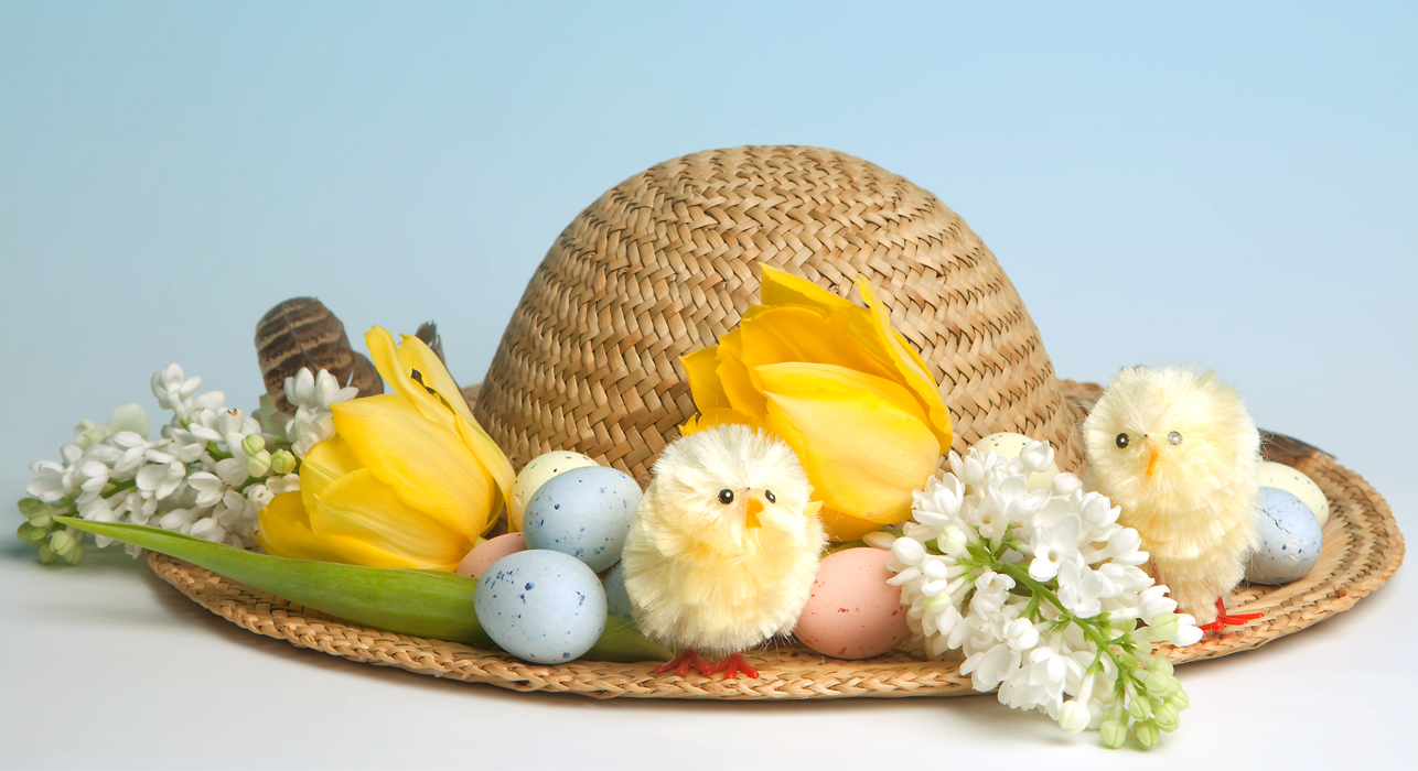 Easter bonnet 