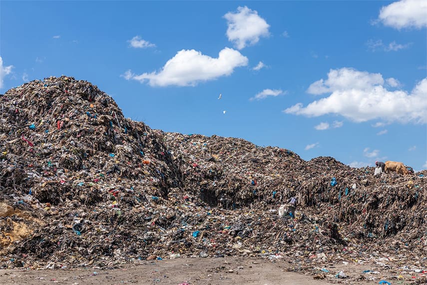 Recycling Different Attitudes Across The World