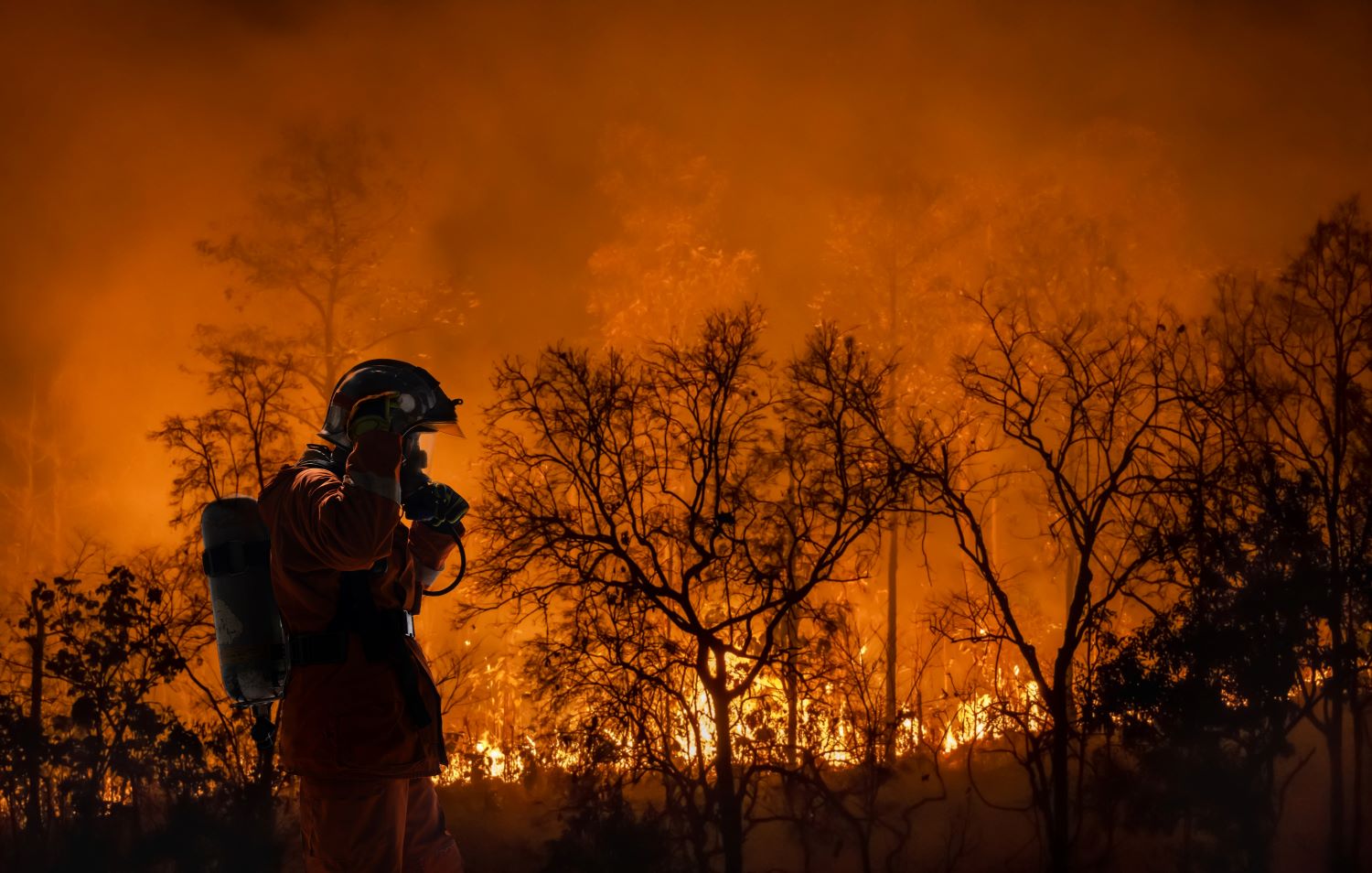 Firefighter watching forest burn due to global warming.