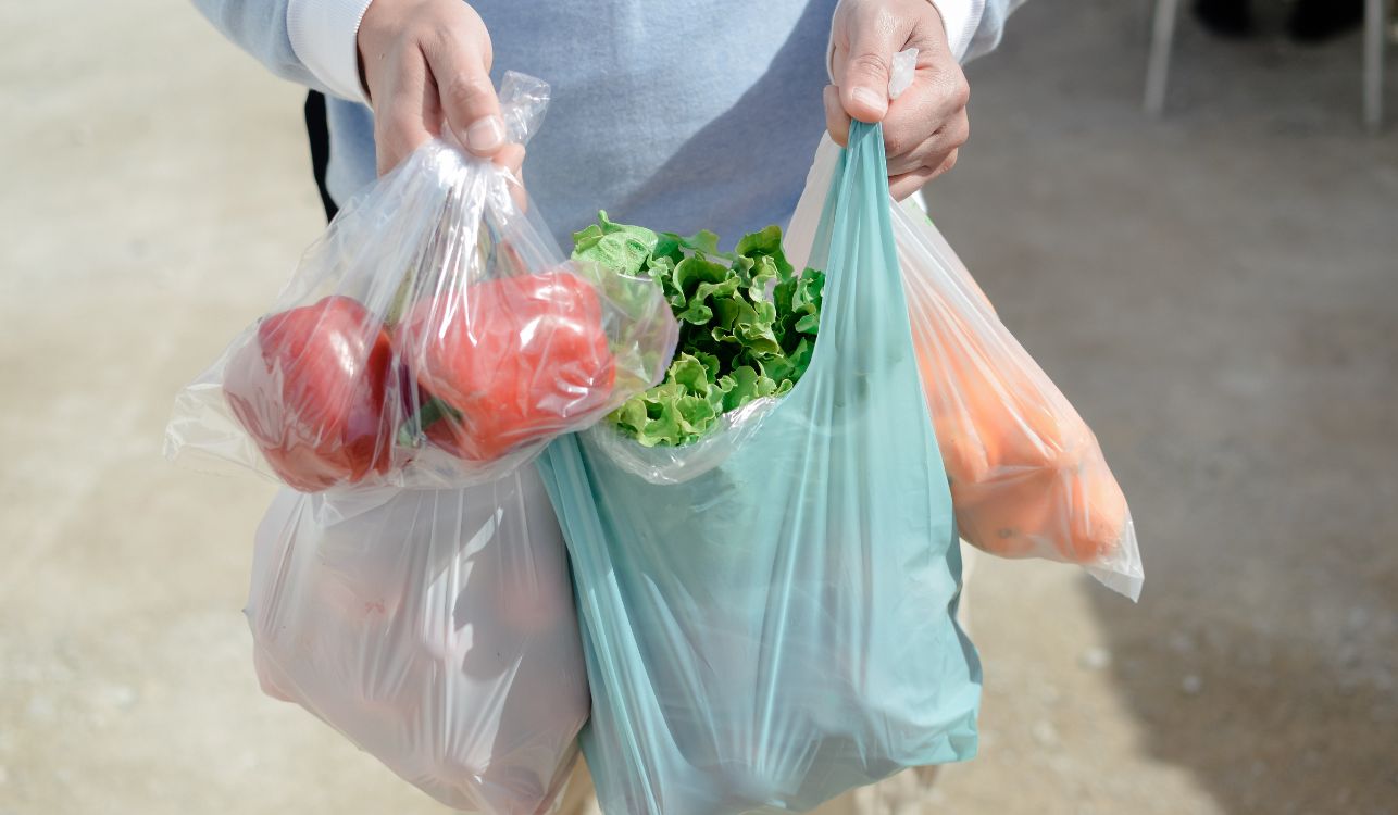 Image of person carrying shopping in a plastic bag.