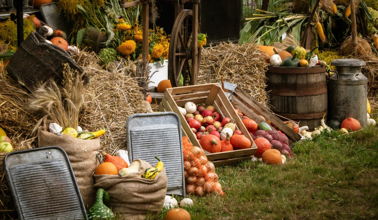 We Plough the Fields and Scatter